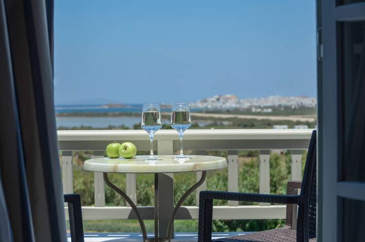 Naxos Hotel Agnadi in Agia Anna